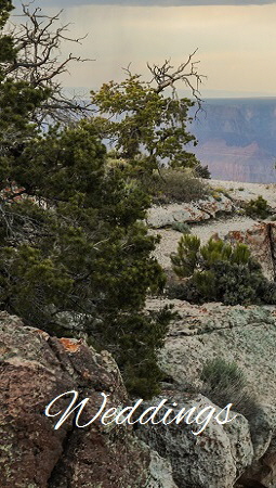 Hoseshoe Bend Weddings Hoseshoe Bend Weddings