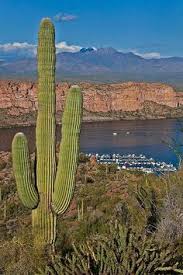 Saguaro Lake Saguaro Lake