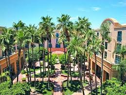 Tempe Mission Palms Tempe Mission Palms