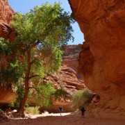 Havasuapi Hiking S18002