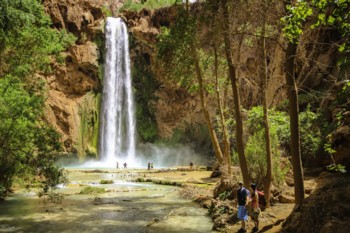 My Arizona Guide-109-350