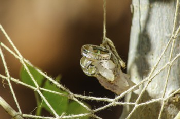 My Arizona Guide-118-350