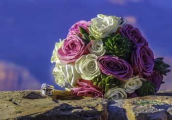 My Arizona Guide-130-35002 My Arizona Guide-130-35002