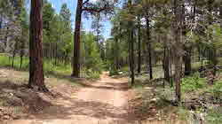 South-Rim-Grand-Canyon-Weddings-82 South-Rim-Grand-Canyon-Weddings-82