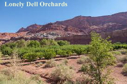 Lonely Dell Orchard02 Lonely Dell Orchard02